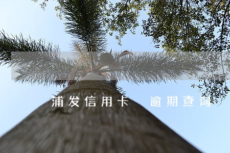 浦发信用卡 逾期查询 浦发信用卡 逾期查询
